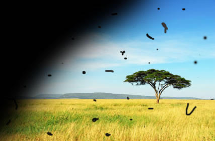 Desprendimiento de Retina – Liniers